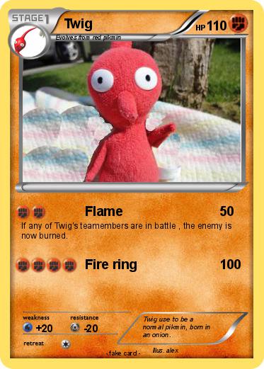 Pokemon Twig