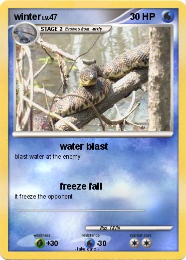 Pokemon winter