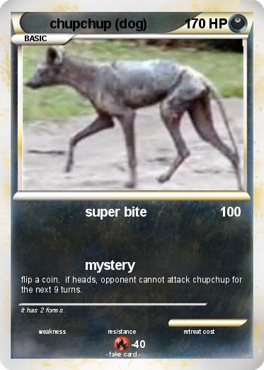 Pokemon chupchup (dog)
