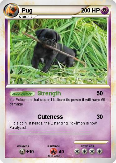 Pokemon Pug
