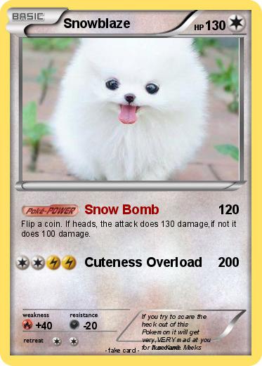 Pokemon Snowblaze