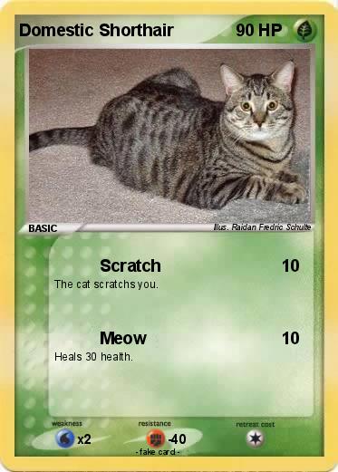 Pokemon Domestic Shorthair