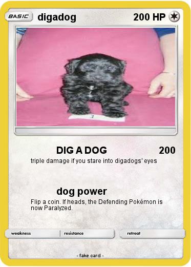 Pokemon digadog