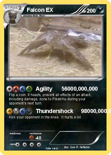 Pokemon Falcon EX