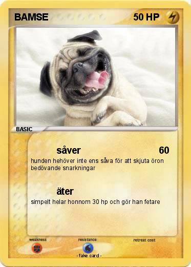 Pokemon BAMSE