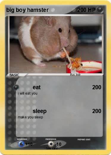 Pokemon big boy hamster