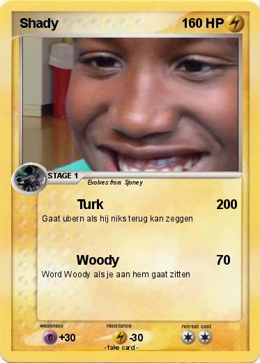 Pokemon Shady