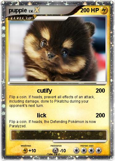 Pokemon puppie