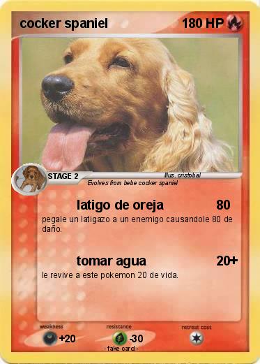 Pokemon cocker spaniel