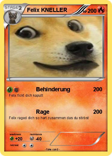 Pokemon Felix KNELLER