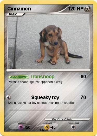 Pokemon Cinnamon