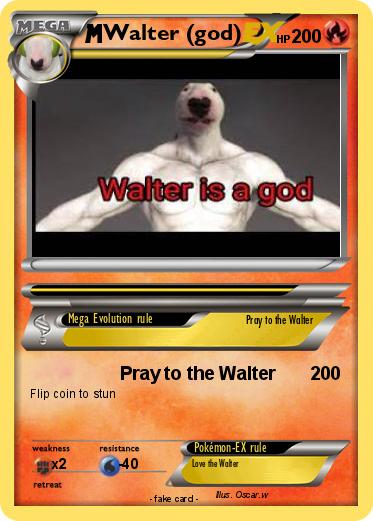 Pokemon Walter (god)