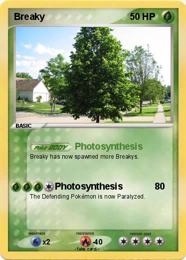 Pokemon Breaky