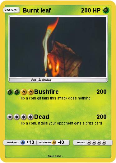 Pokemon Burnt leaf