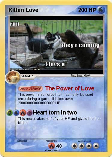 Pokemon Kitten Love