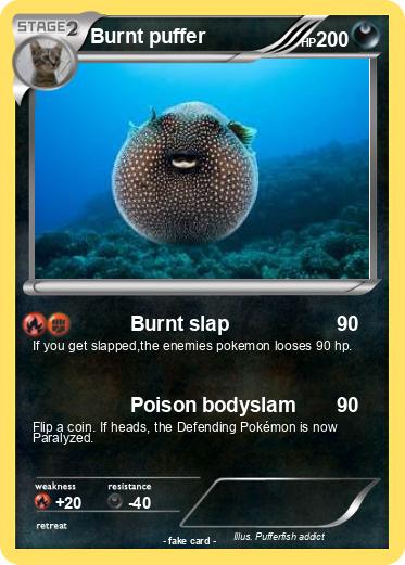 Pokemon Burnt puffer