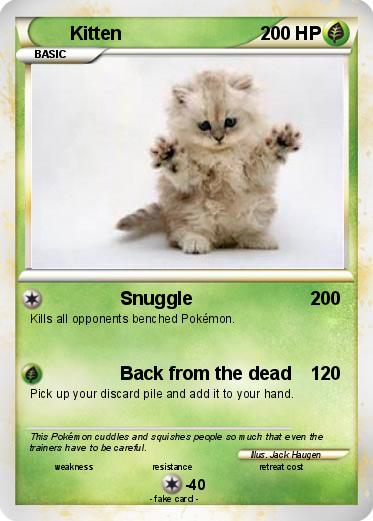 Pokemon Kitten