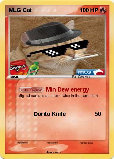 Pokemon MLG Cat