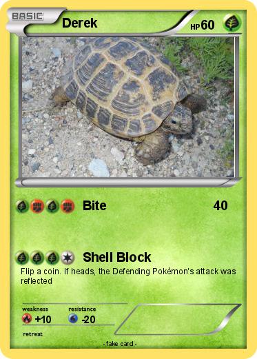 Pokemon Derek
