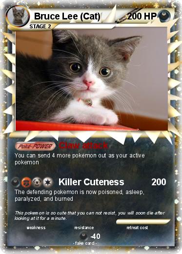 Pokemon Bruce Lee (Cat)