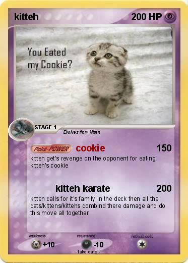 Pokemon kitteh