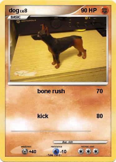 Pokemon dog