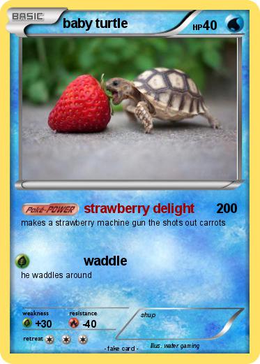 Pokemon baby turtle