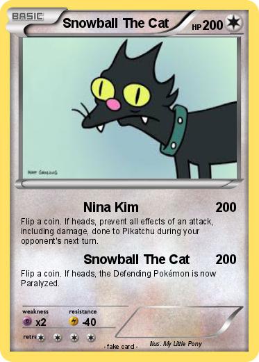 Pokemon Snowball The Cat