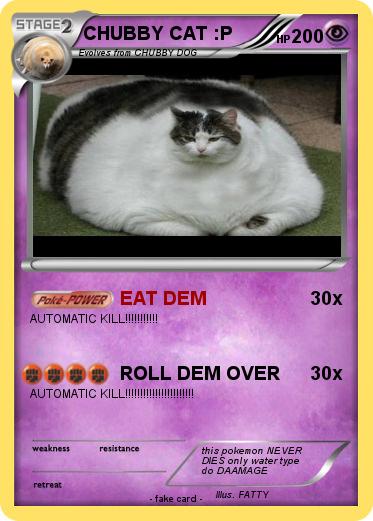 Pokemon CHUBBY CAT :P