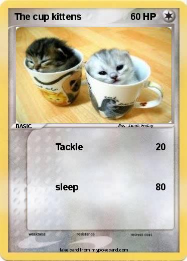 Pokemon The cup kittens