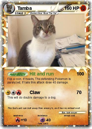 Pokemon Tamba