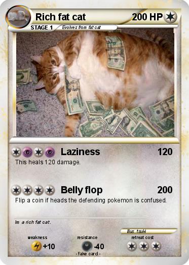 Pokemon Rich fat cat