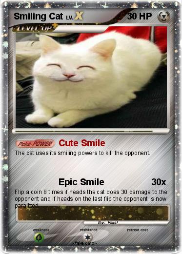 Pokemon Smiling Cat