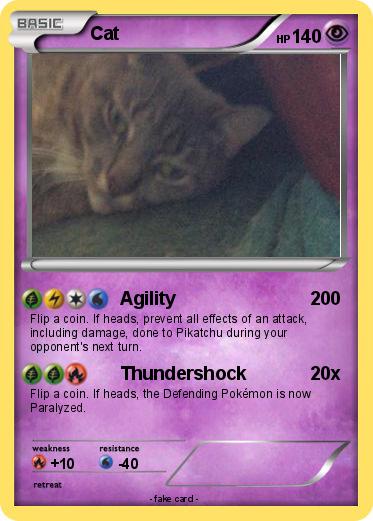 Pokemon Cat