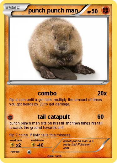 Pokemon punch punch man