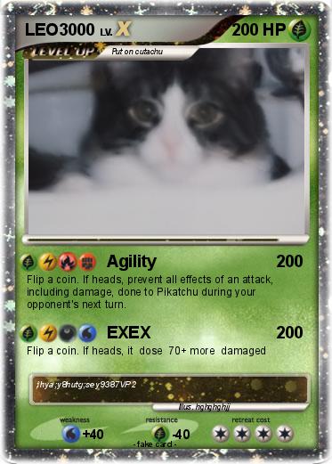 Pokemon LEO3000
