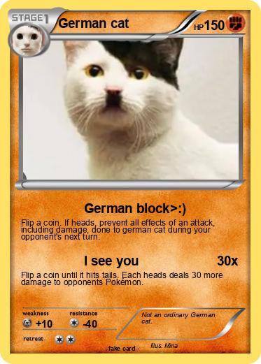 Pokemon German cat