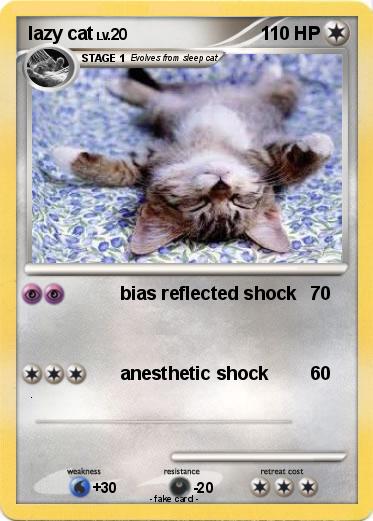 Pokemon lazy cat