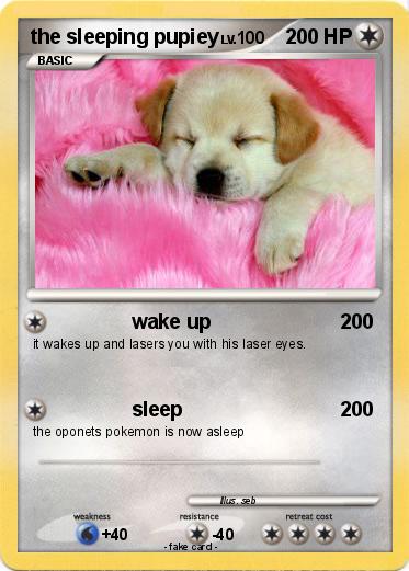 Pokemon the sleeping pupiey
