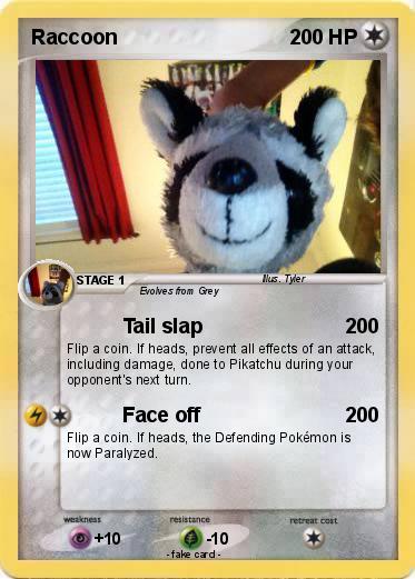 Pokemon Raccoon