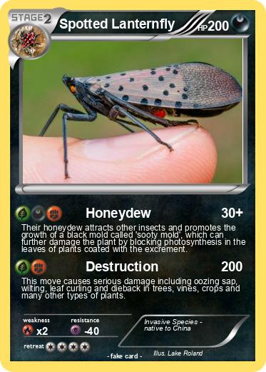 Pokemon Spotted Lanternfly