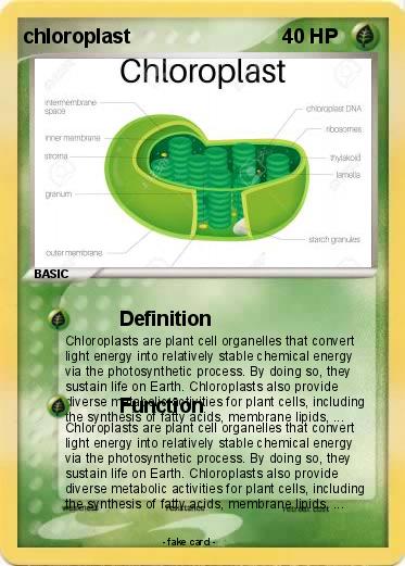 Pokemon chloroplast