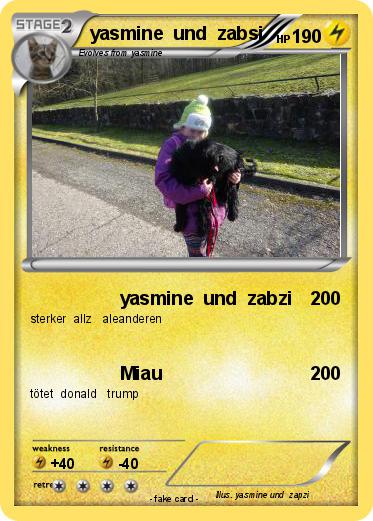 Pokemon yasmine  und  zabsi