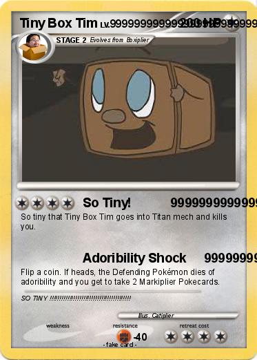 Pokemon Tiny Box Tim