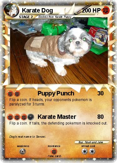 Pokemon Karate Dog