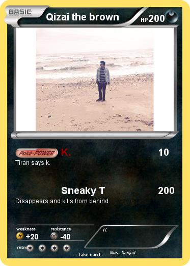 Pokemon Qizai the brown