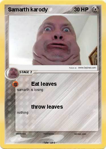 Pokemon Samarth karody