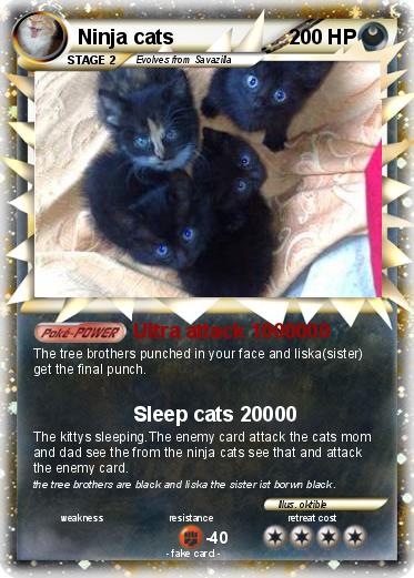 Pokemon Ninja cats