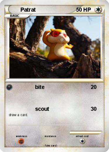 Pokemon Patrat
