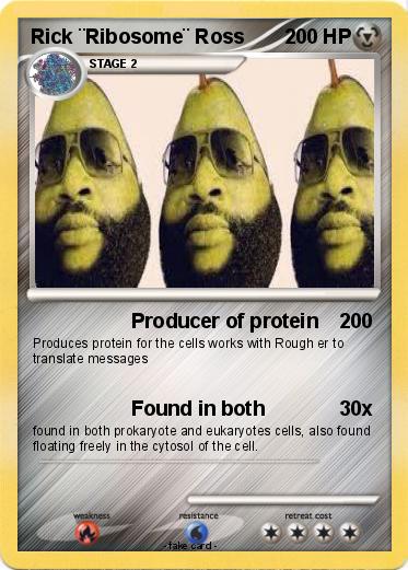 Pokemon Rick ¨Ribosome¨ Ross